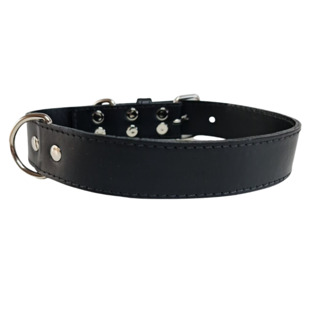 Collar de Cuero para perros - Negro Liso hebilla nickel