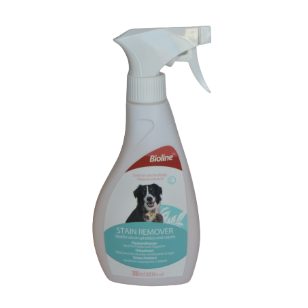 Spray Quitamanchas