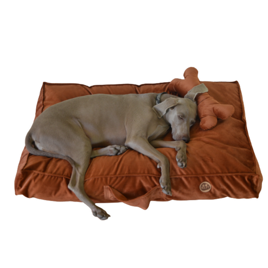 Cama Rectangular Para Mascotas - Café