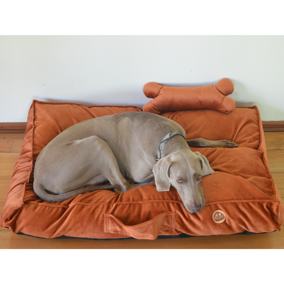 Cama Rectangular Para Mascotas - Café