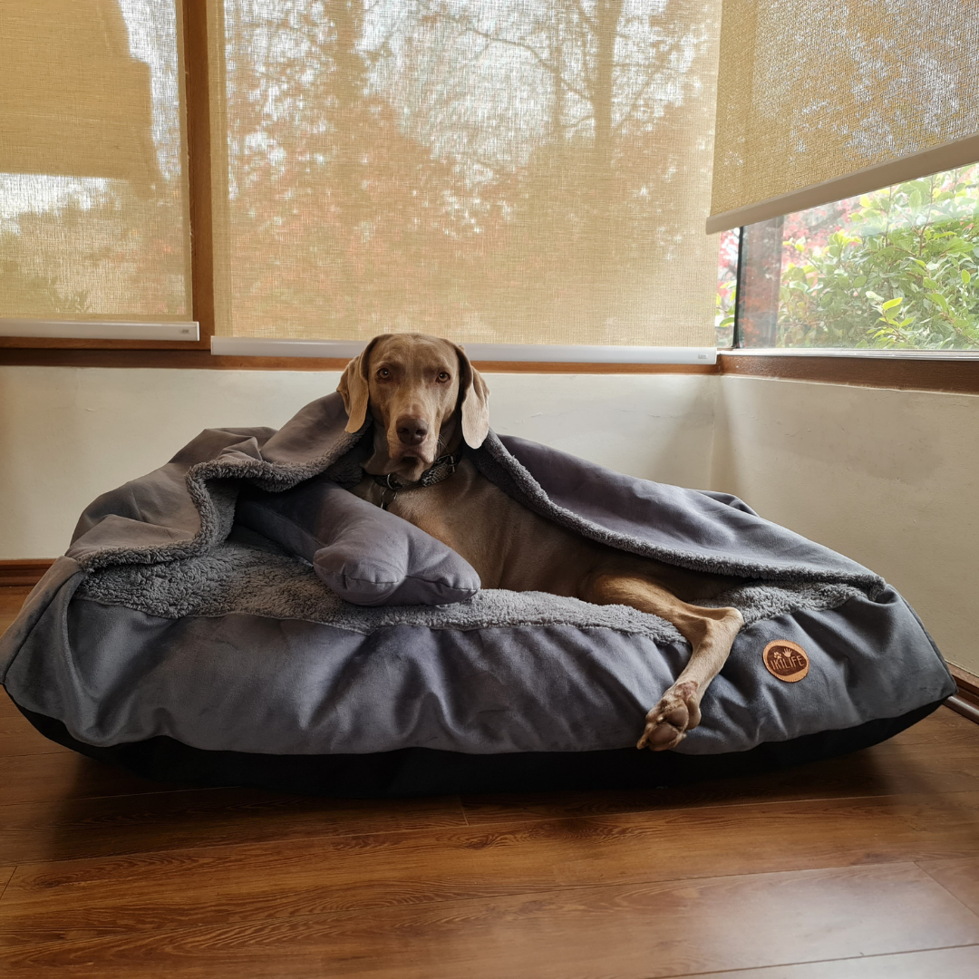 Cama con Manta - Gris