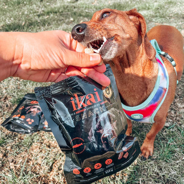 Ikai Snack Horneado Salmon