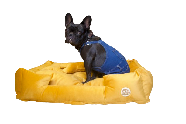 Cama Clásica Para Mascotas - Mostaza