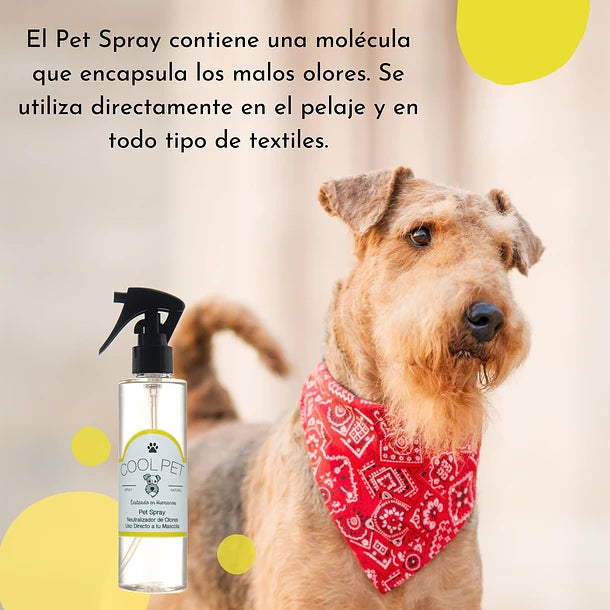 Pet Spray