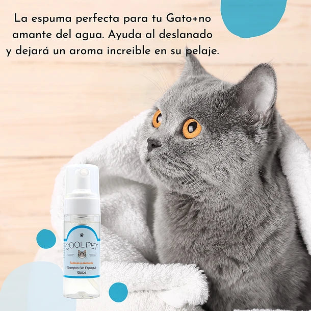 Shampoo sin enjuague Gatos