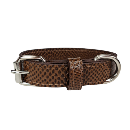 Collar de Cuero para perros - Café hebilla nickel
