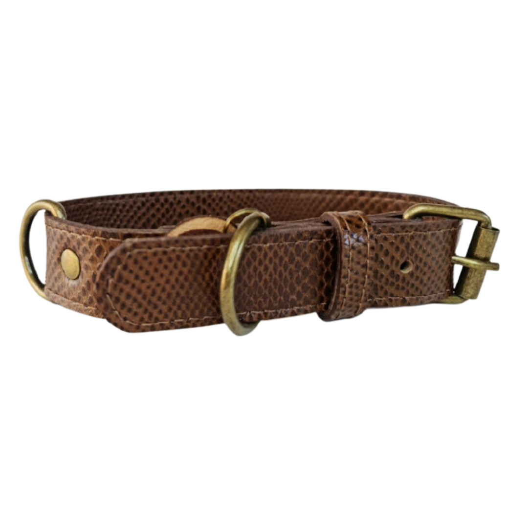 Collar de Cuero para perros - Café hebilla envejecida