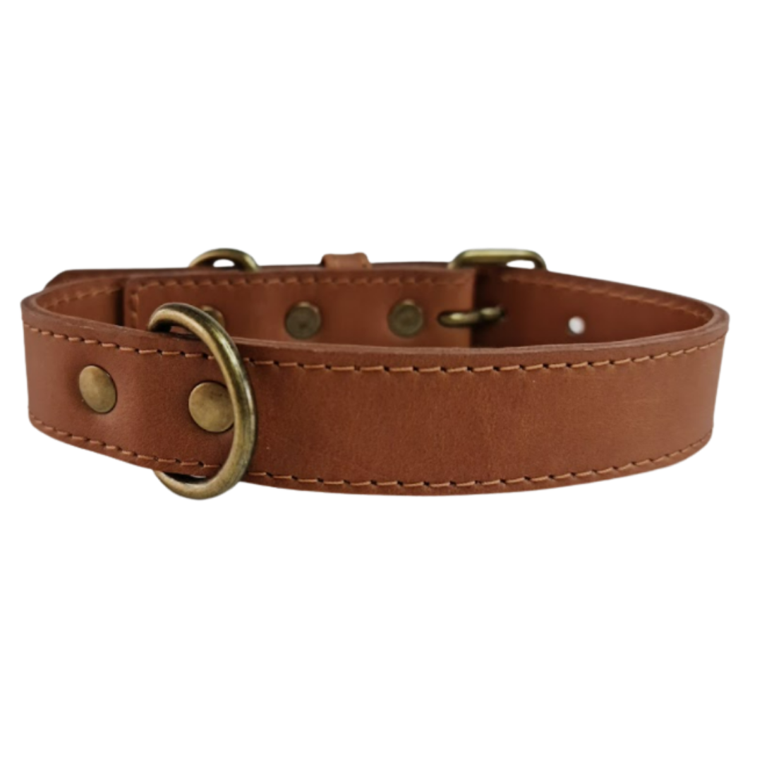 Collar de Cuero para perros - Camel hebilla envejecida