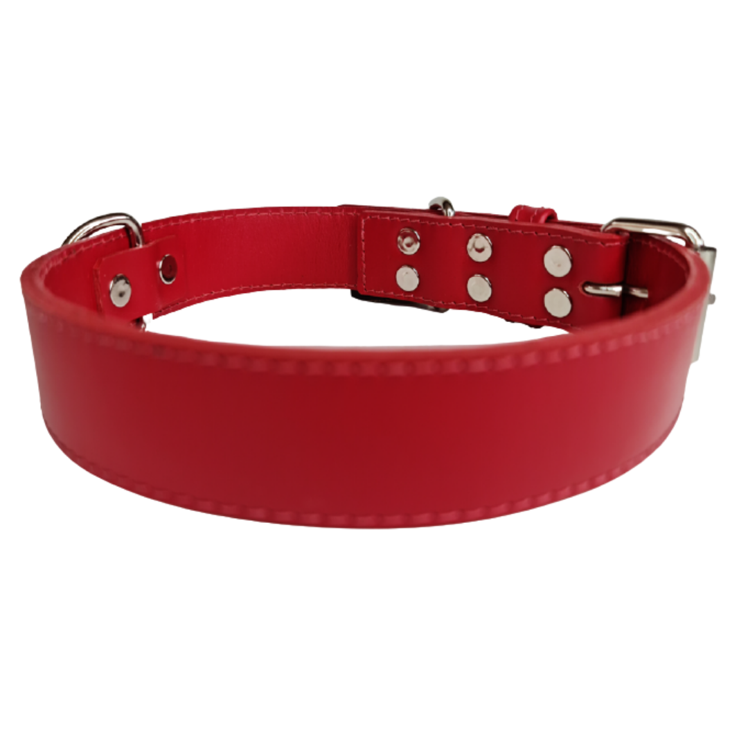 Collar de Cuero para perros - Rojo Liso hebilla nickel