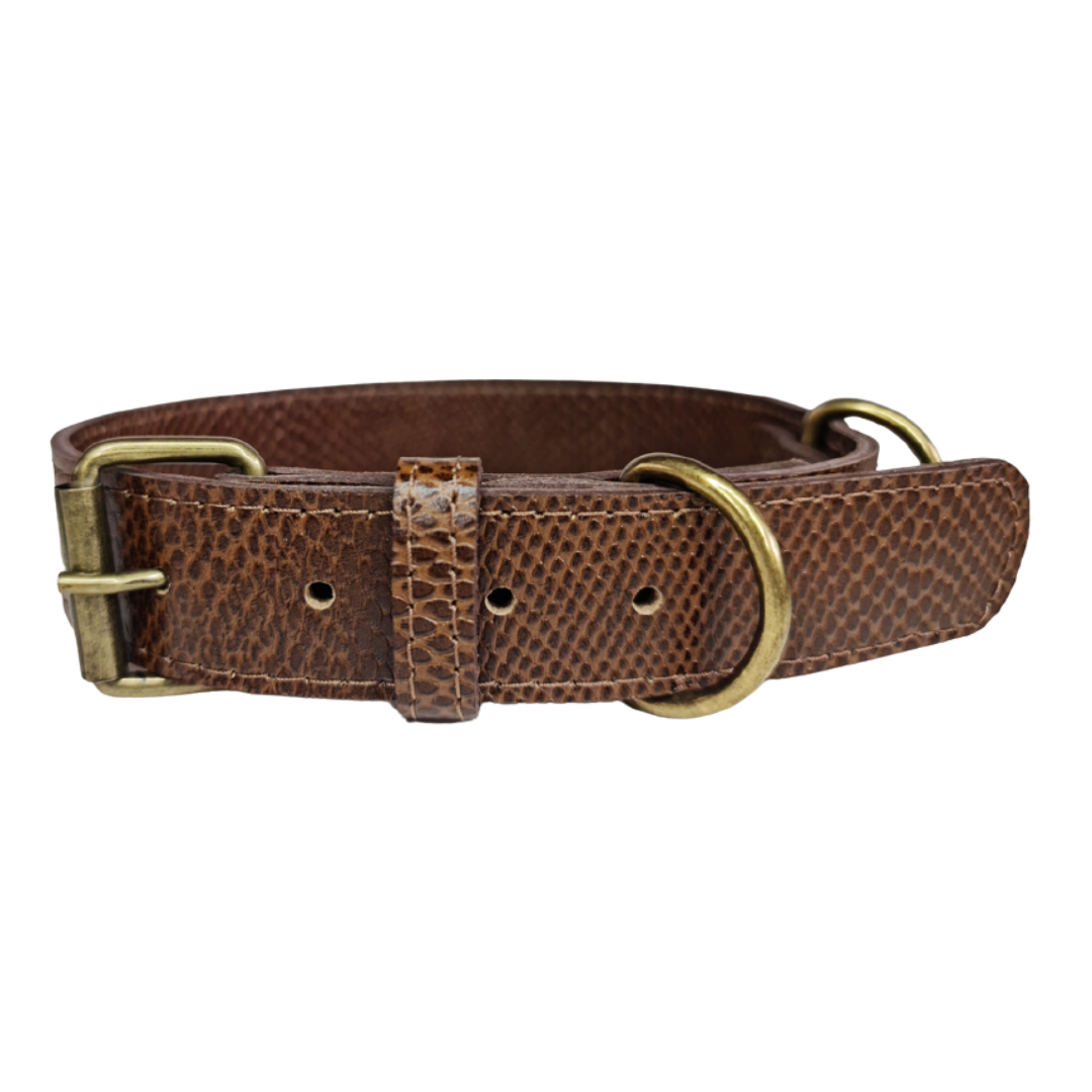 Collar de Cuero para perros - Café hebilla envejecida