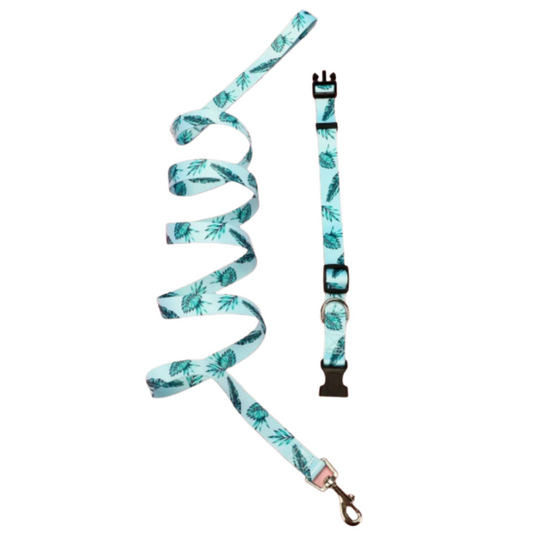 Conjunto Correa + Collar - Verde Agua