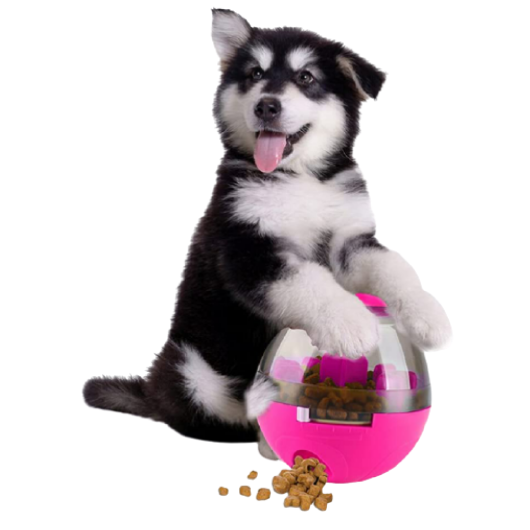 Dispensador de Comida