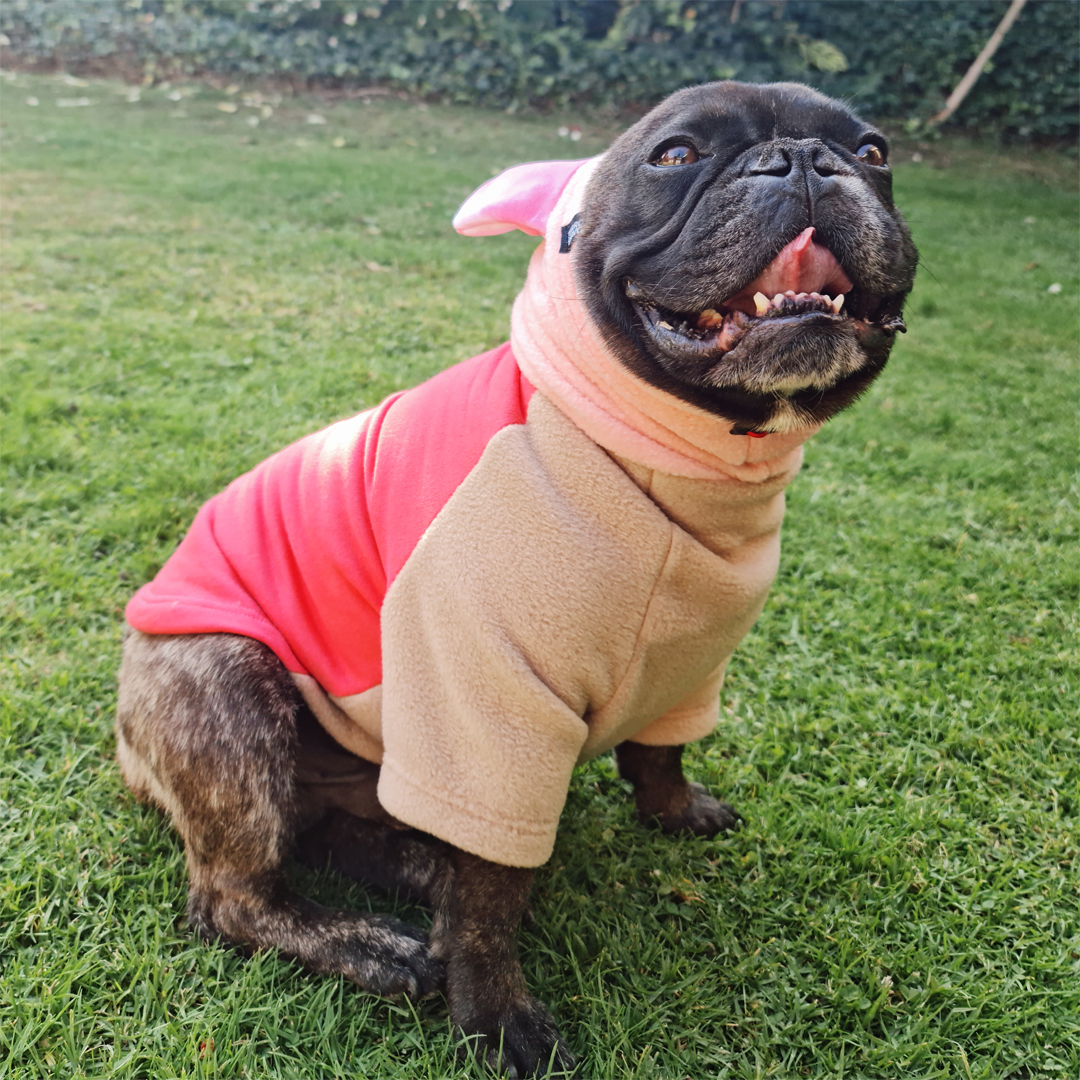 Polerón con Gorro para Orejas Talla única
