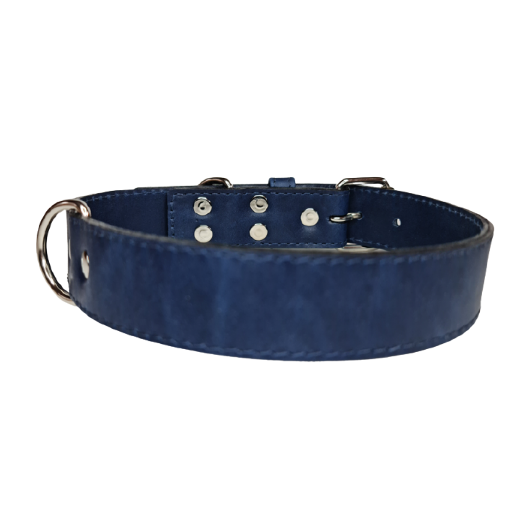 Collar de Cuero para perros - Azúl hebilla nickel