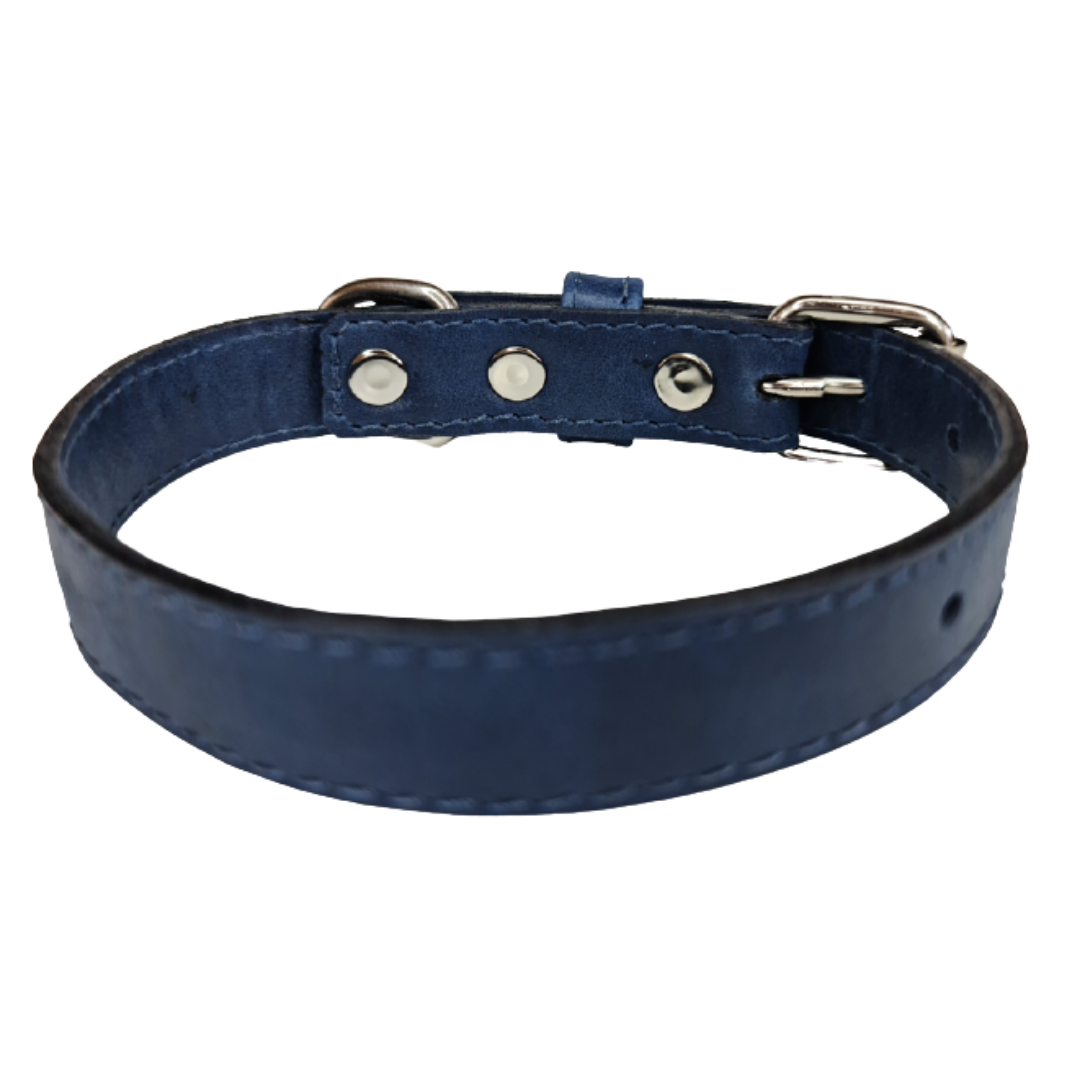 Collar de Cuero para perros - Azúl hebilla nickel