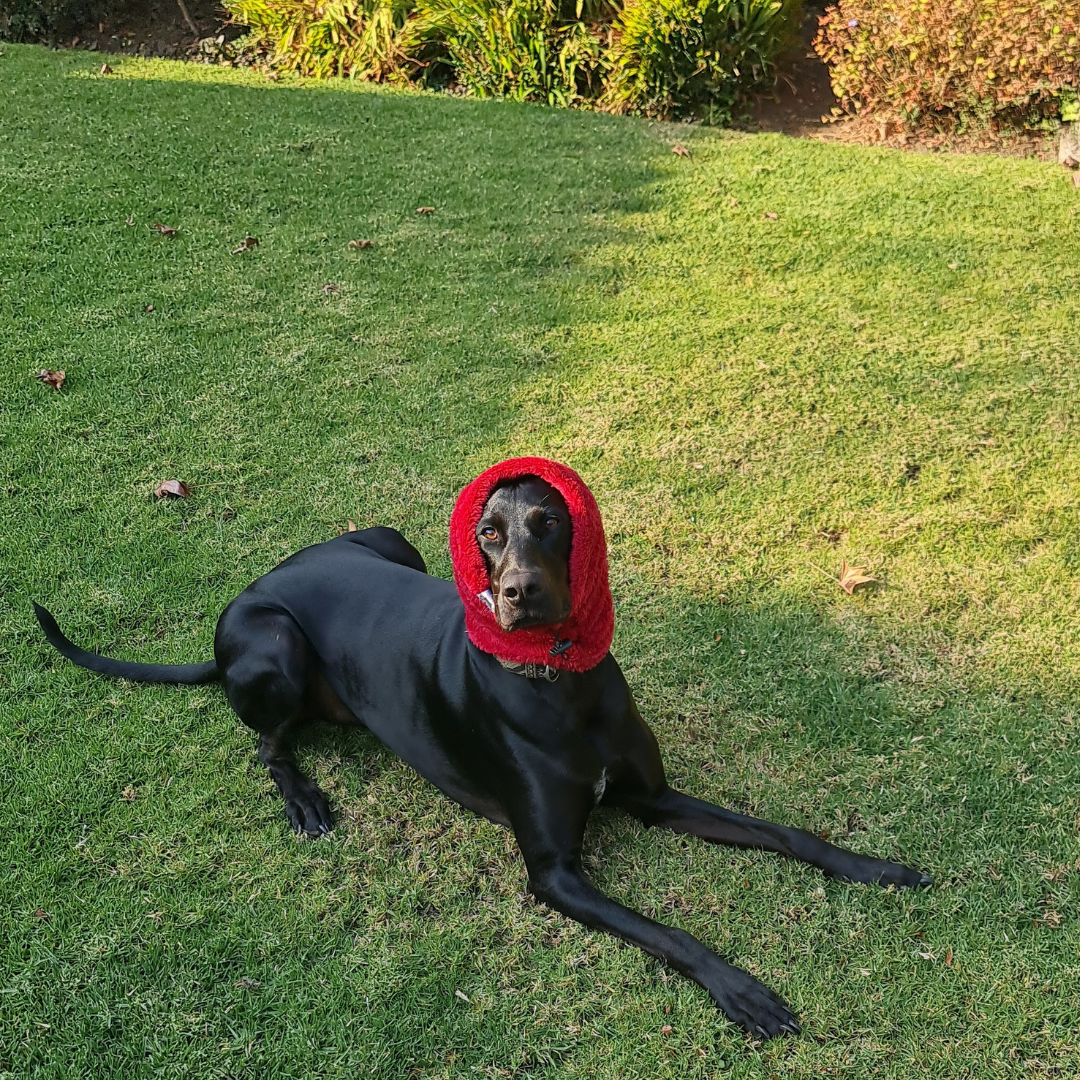 Cuello para Mascotas - Rojo