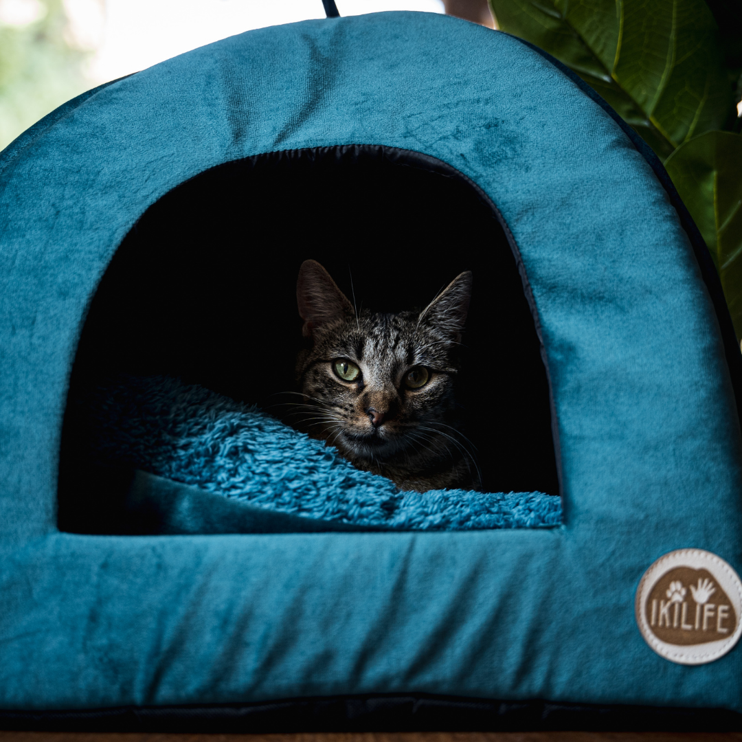 Cama Iglú para mascotas (41 x 41 cm)