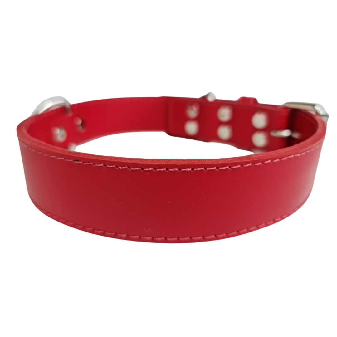 Collar de Cuero para perros - Rojo Liso hebilla nickel