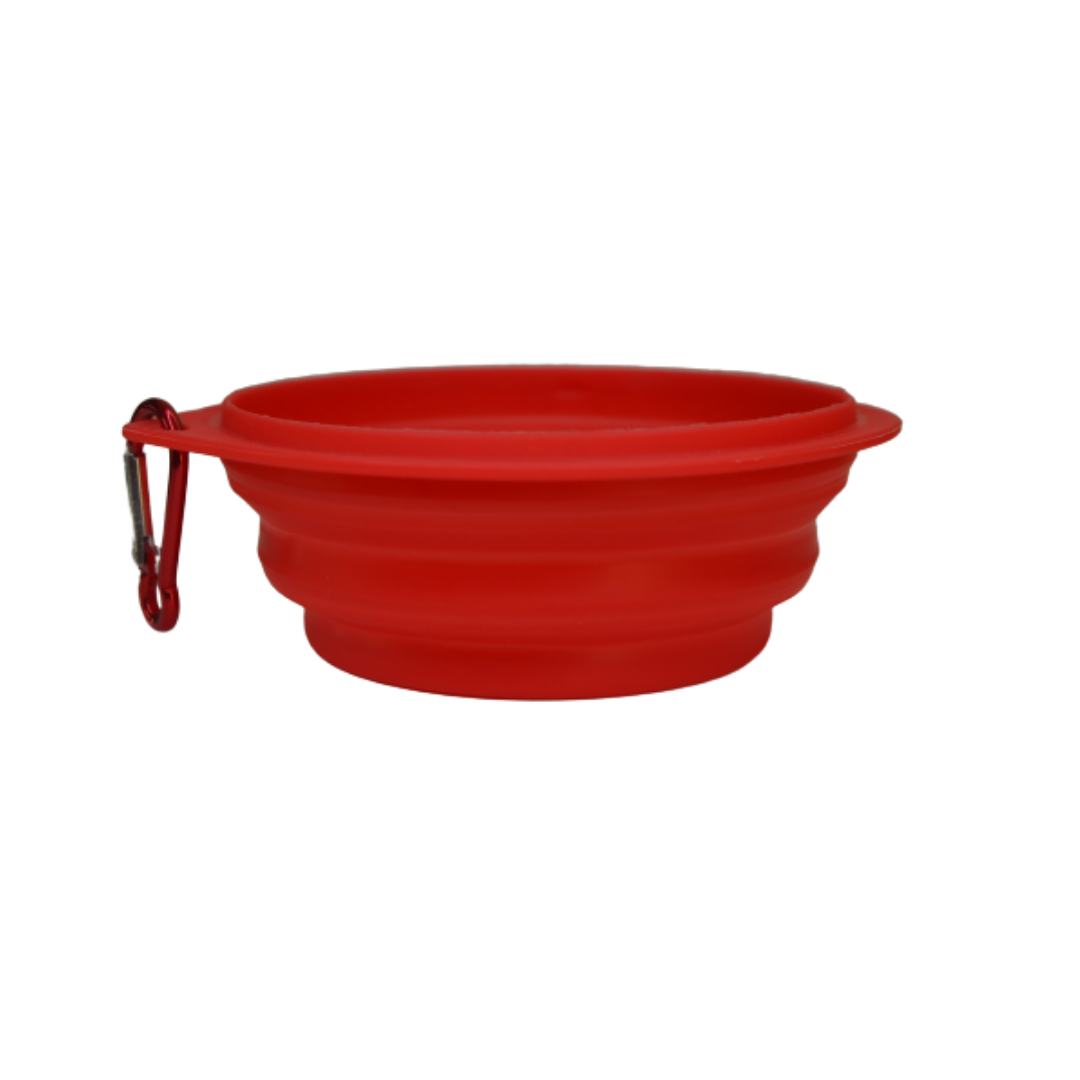 Plato para Paseo Portátil 15 cm de diámetro