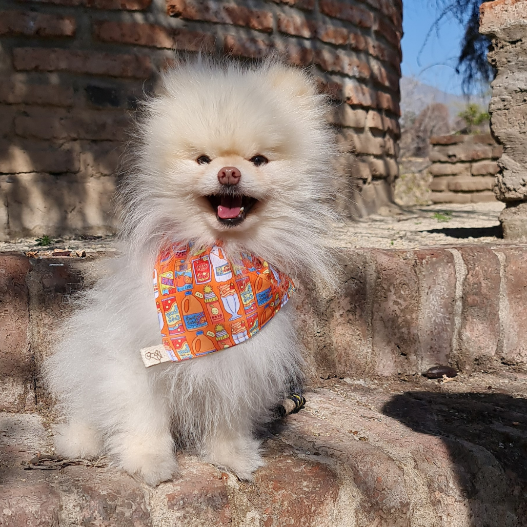 Bandana - Dibujos Naranjos