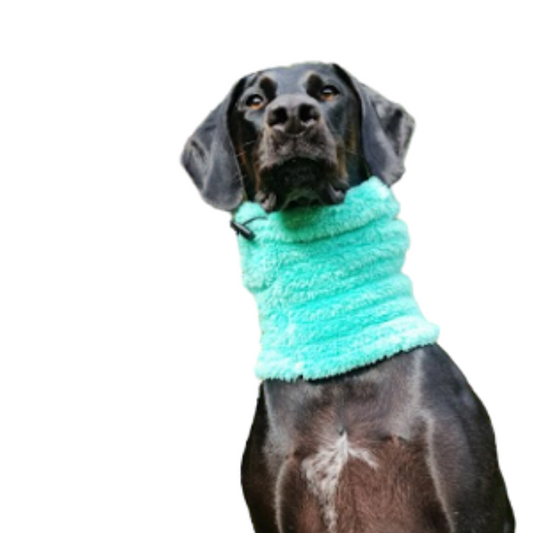 Cuello para Mascotas - Verde Agua