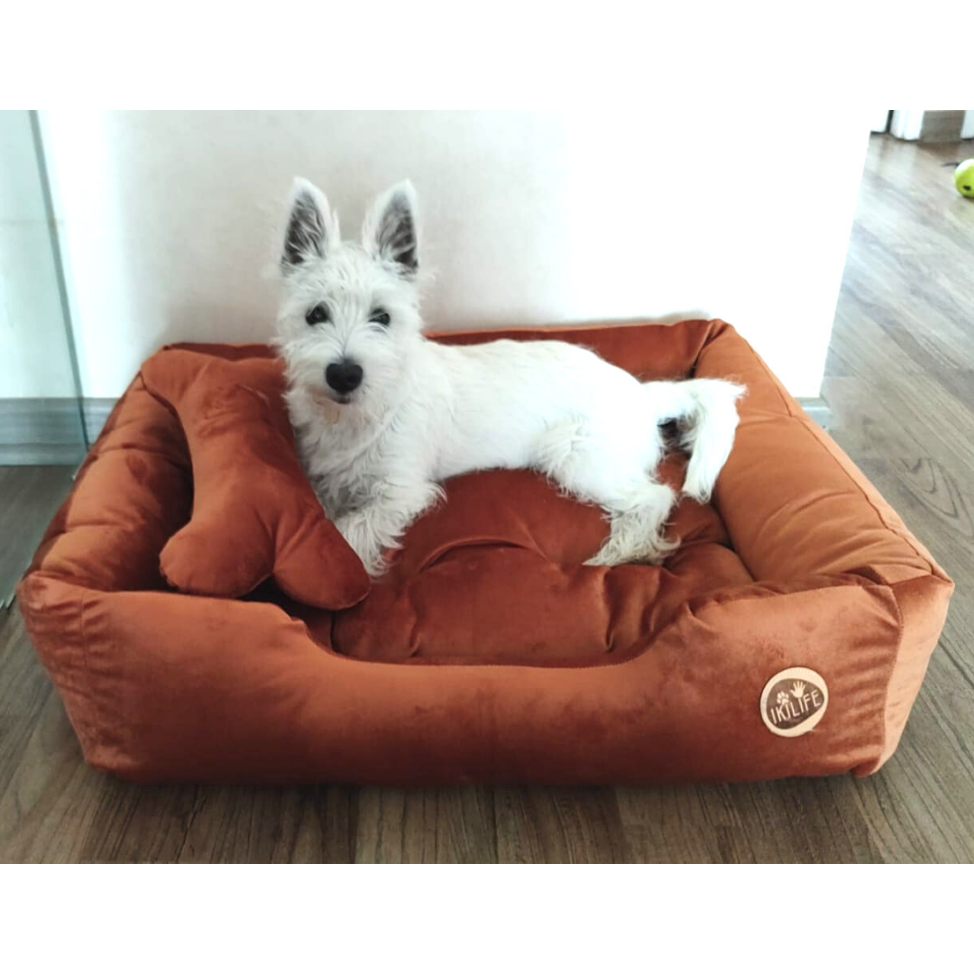 Cama Clásica Para Mascotas - Café