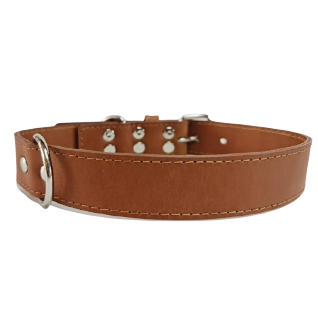 Collar de Cuero para perros - Camel hebilla Nickel