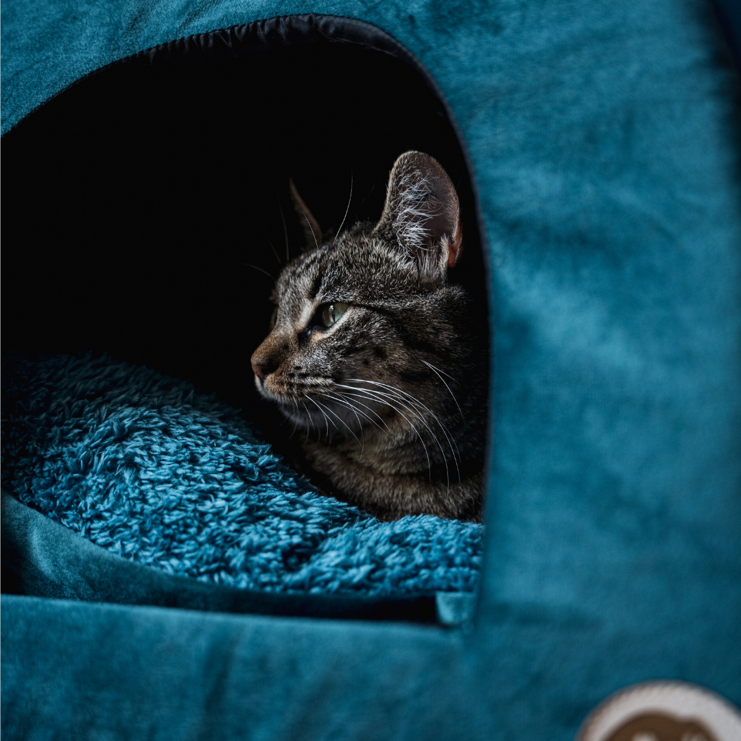 Cama Iglú para mascotas (41 x 41 cm)