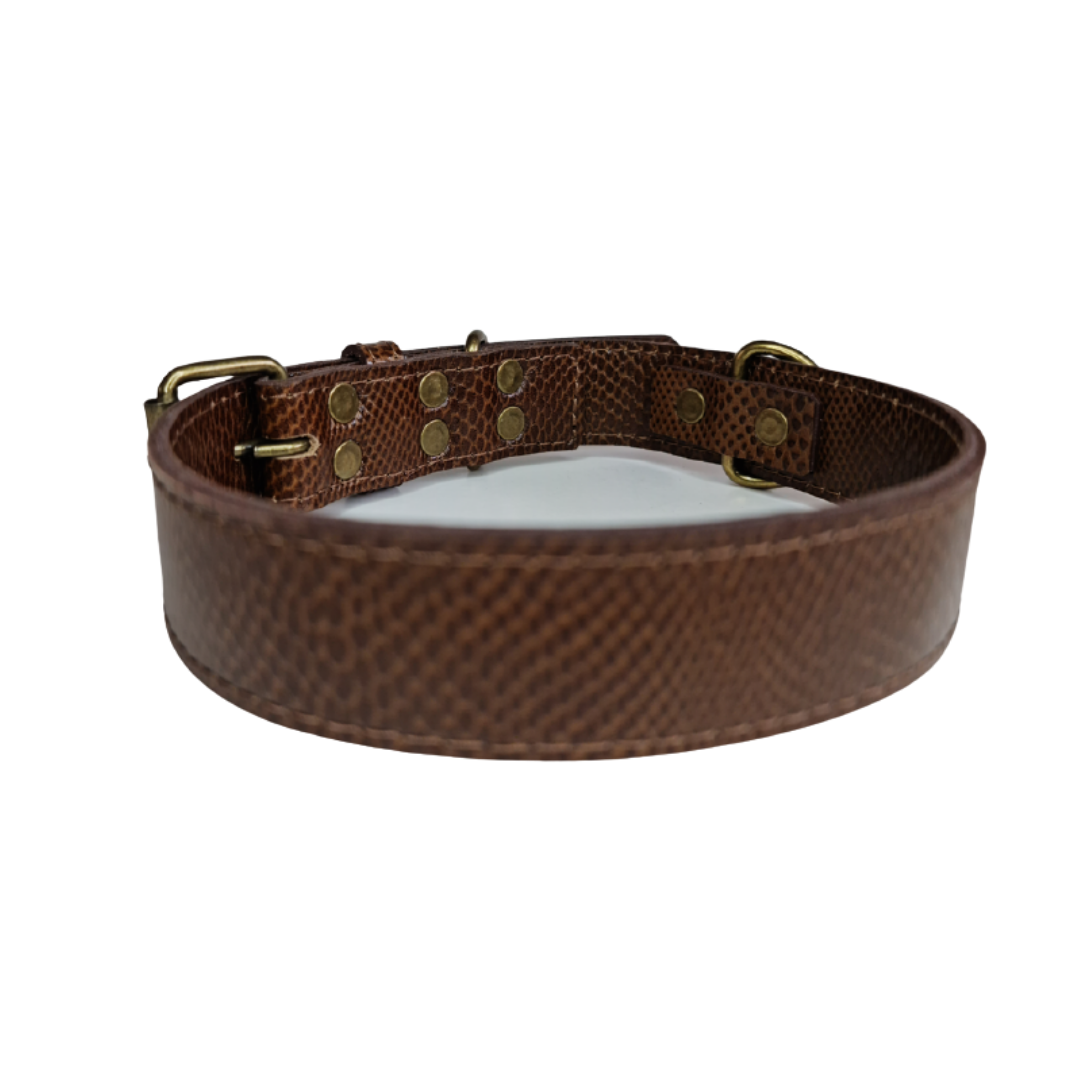 Collar de Cuero para perros - Café hebilla envejecida