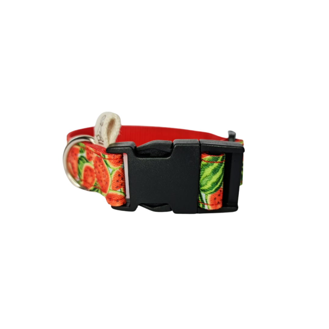 Collar Estmapado - Sandía