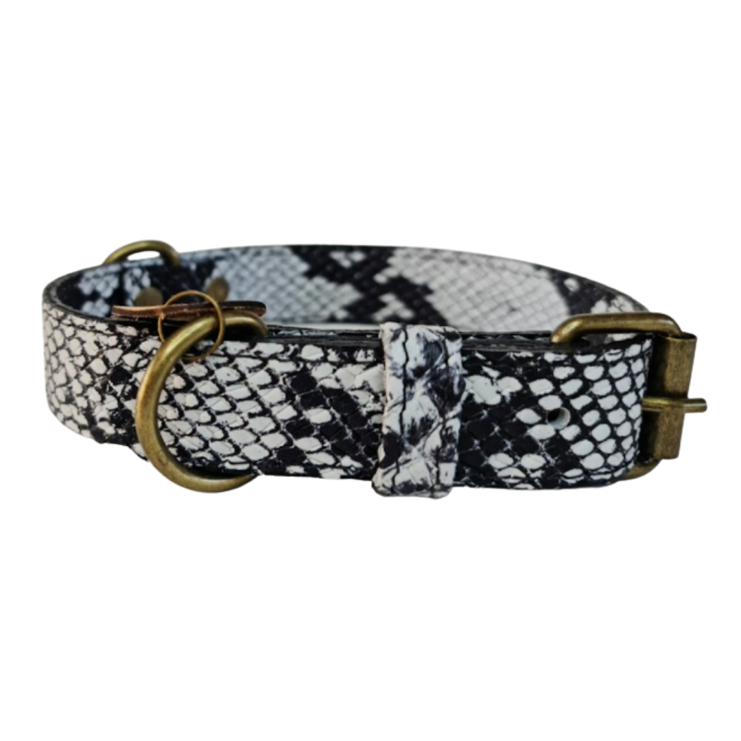 Collar de Cuero para perros - Serpiente Blanco y Negro hebilla envejecida