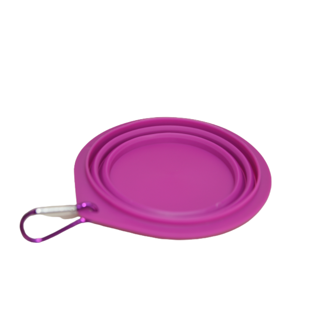Plato para Paseo Portátil 15 cm de diámetro
