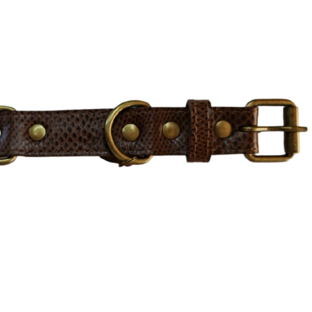 Collar de Cuero para perros - Café hebilla envejecida