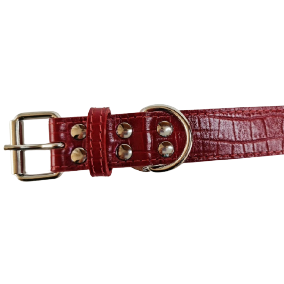 Collar de Cuero para perros - Cocodrilo Rojo - Nickel
