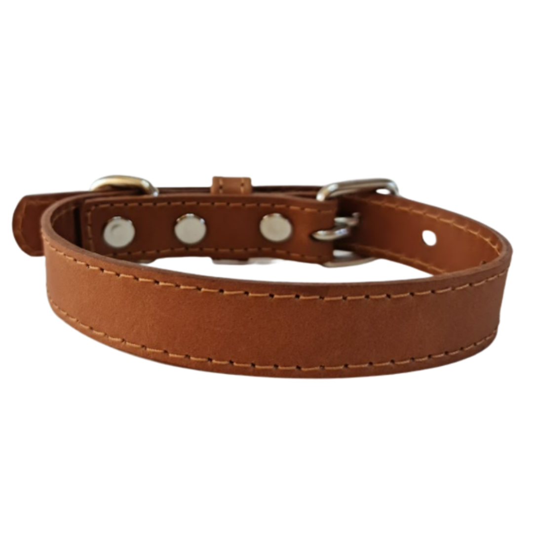 Collar de Cuero para perros - Camel hebilla Nickel