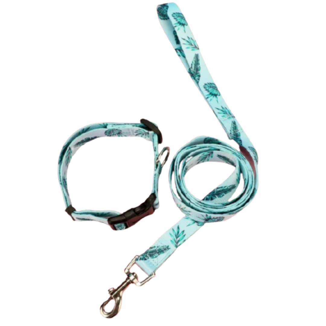 Conjunto Correa + Collar - Verde Agua