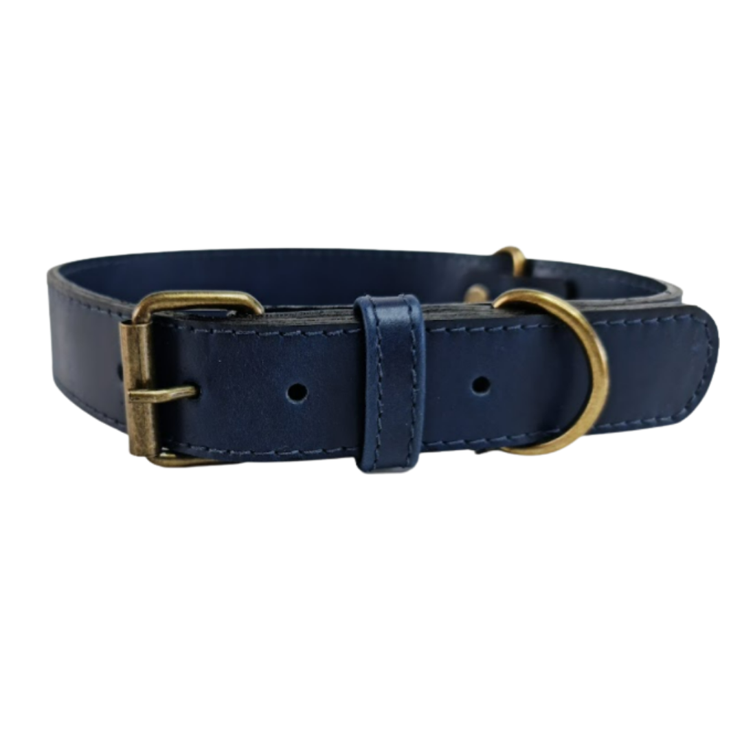 Collar de Cuero para perros - Azúl hebilla envejecida