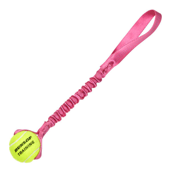 Juguete Tennis ball bungee tug