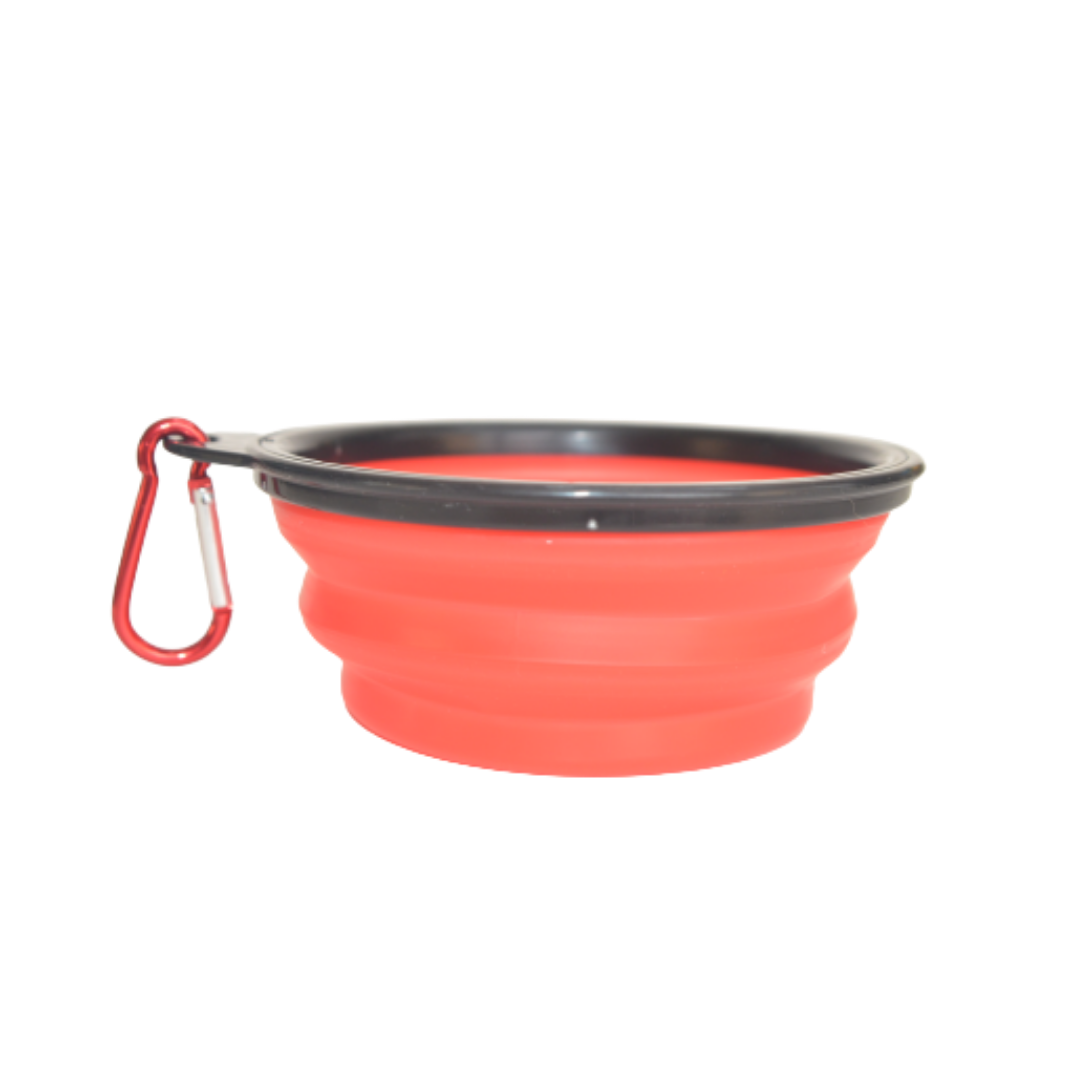 Plato para Paseo Portátil 13 cm de diámetro