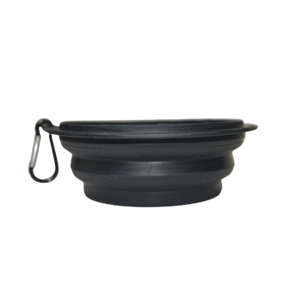 Plato para Paseo Portátil 15 cm de diámetro