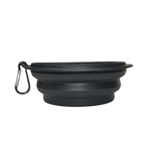 Plato para Paseo Portátil 15 cm de diámetro