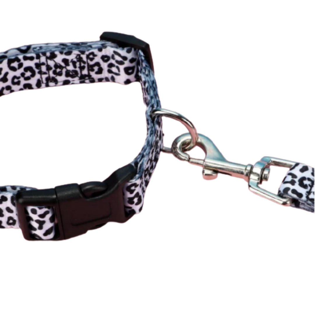Conjunto Correa + Collar - Blanco y Negro
