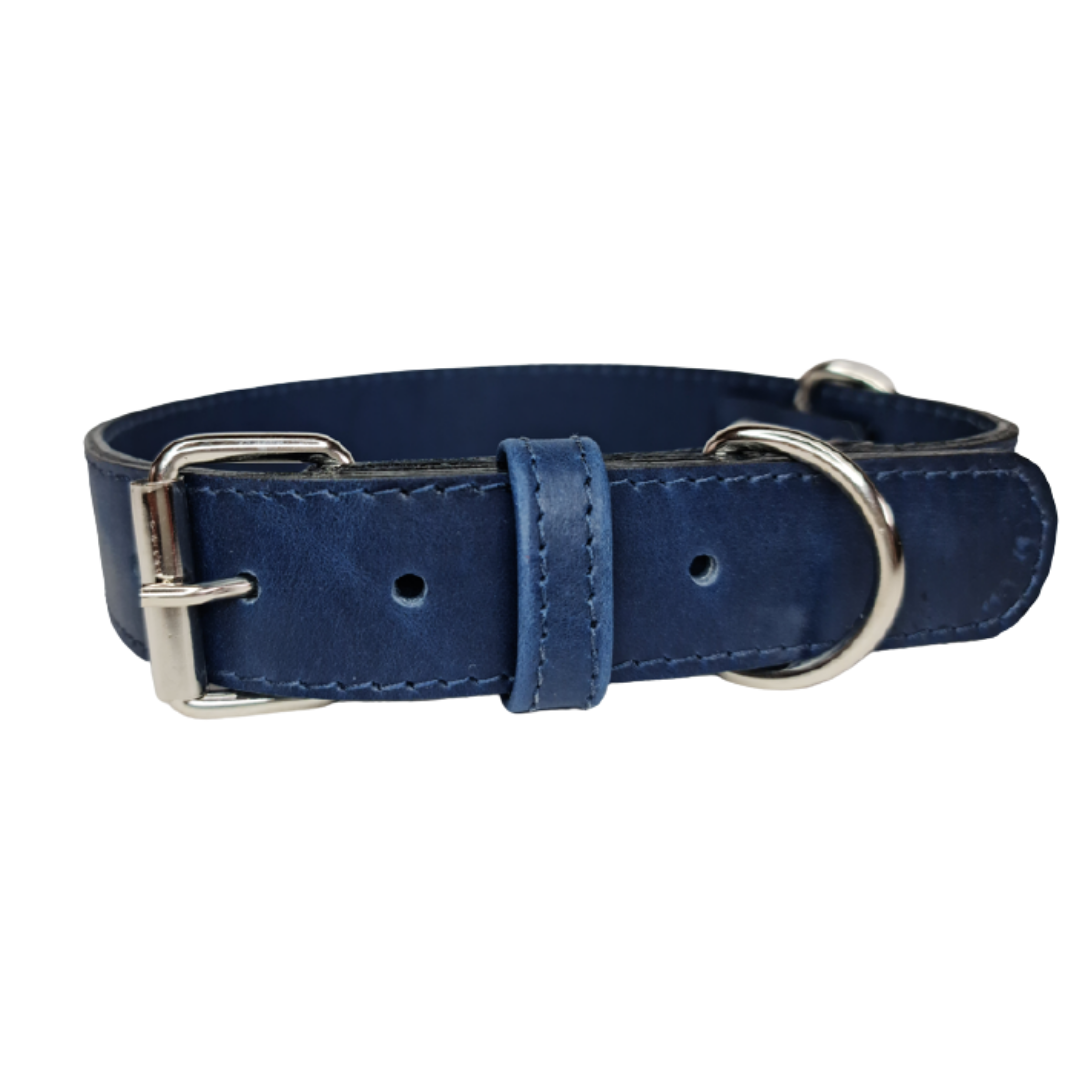 Collar de Cuero para perros - Azúl hebilla nickel
