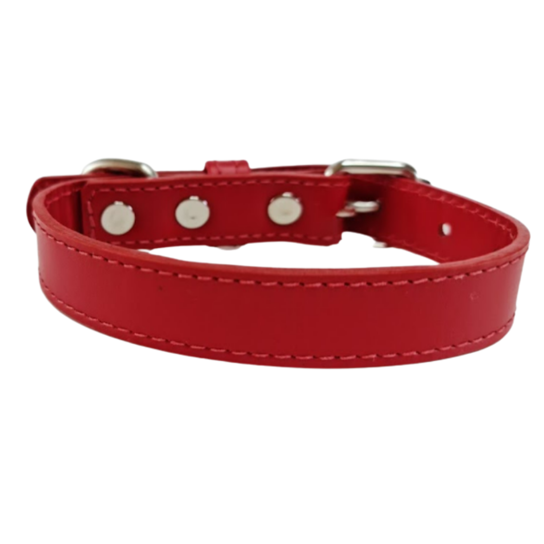 Collar de Cuero para perros - Rojo Liso hebilla nickel