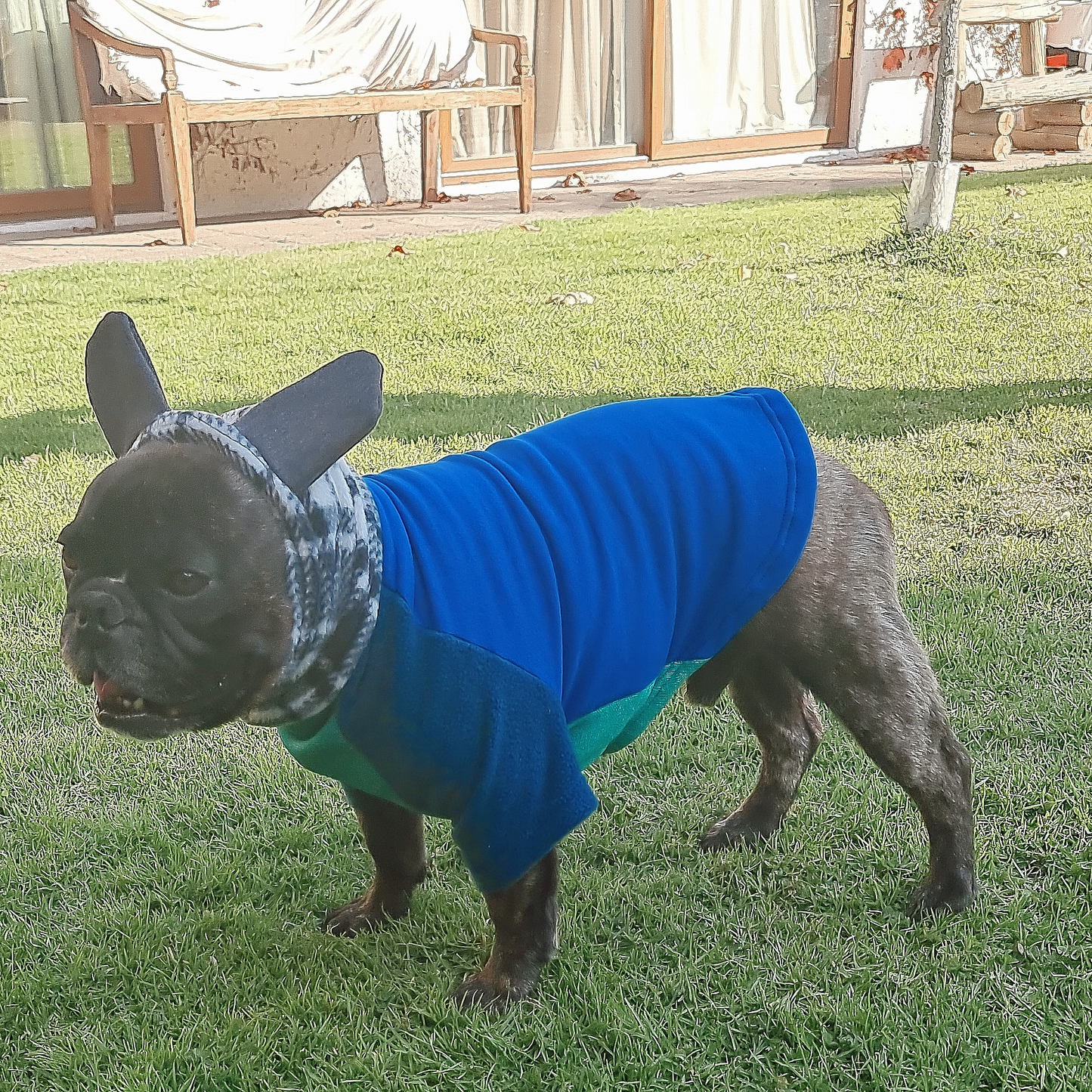 Polerón con Gorro para Orejas Talla única