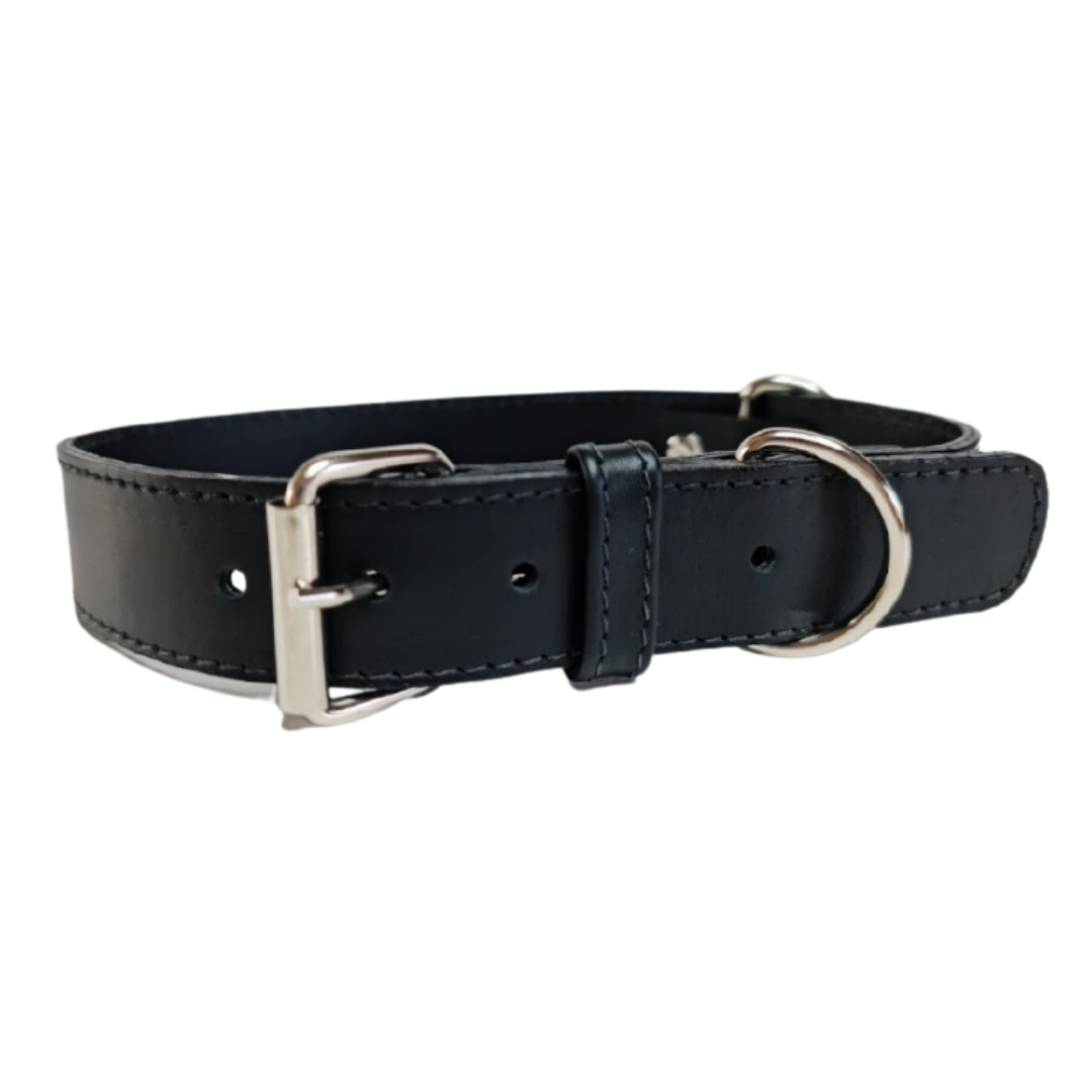 Collar de Cuero para perros - Negro Liso hebilla nickel