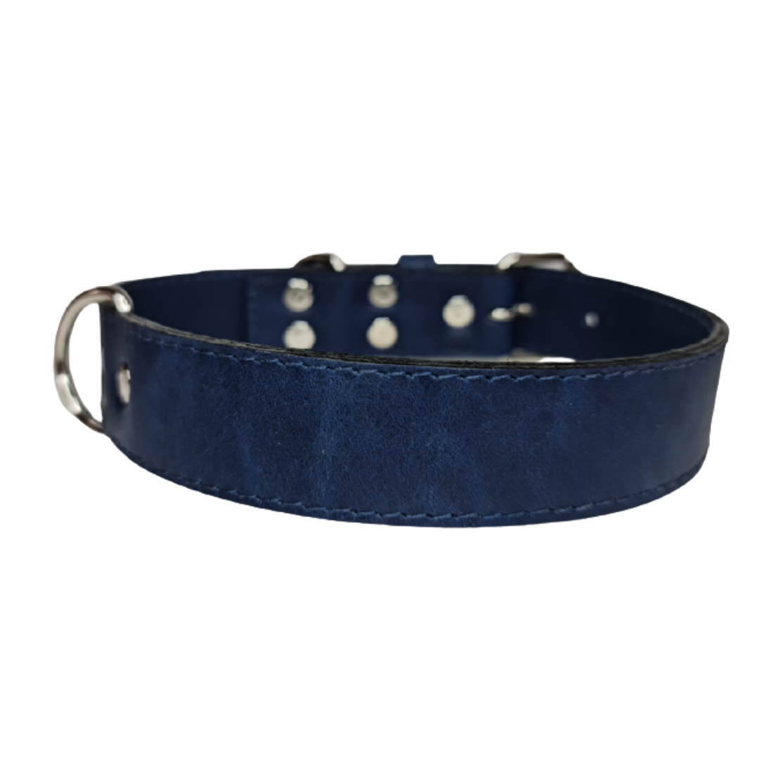Collar de Cuero para perros - Azúl hebilla nickel