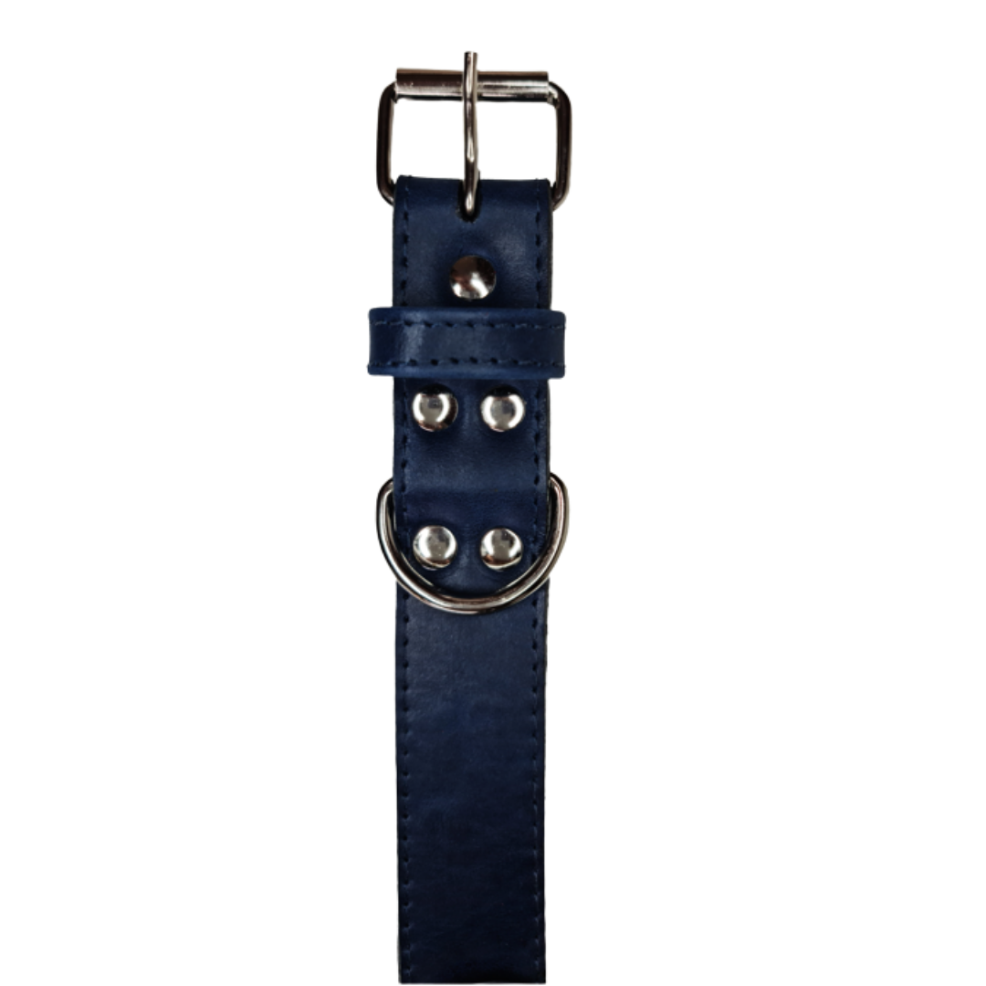 Collar de Cuero para perros - Azúl hebilla nickel