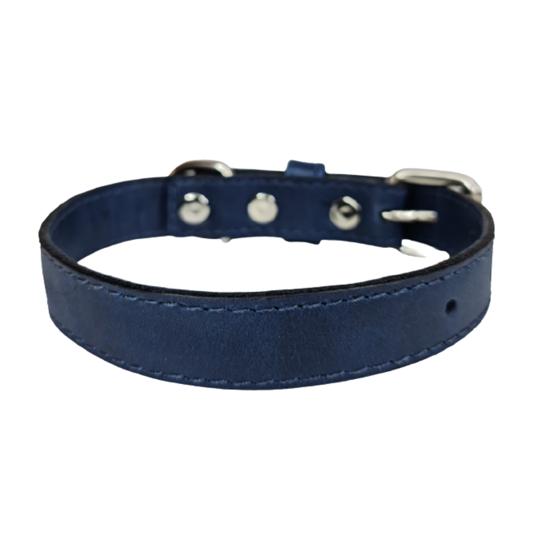 Collar de Cuero para perros - Azúl hebilla nickel