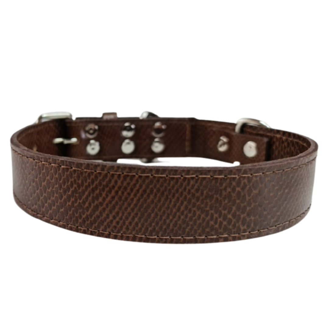 Collar de Cuero para perros - Café hebilla nickel